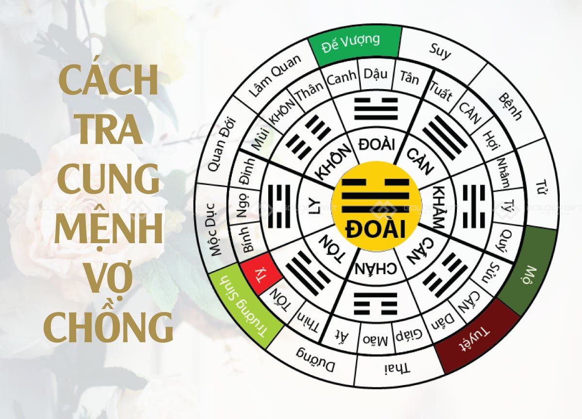 Bảng tra cung mệnh vợ chồng: Bí quyết xem hợp – khắc trong phong thủy hôn nhân chuẩn xác nhất