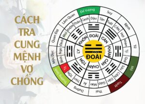Bảng tra cung mệnh vợ chồng: Bí quyết xem hợp – khắc trong phong thủy hôn nhân chuẩn xác nhất