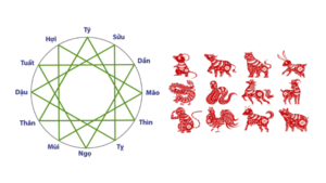 Tam hợp là gì? Giải mã nhóm tuổi tam hợp theo phong thủy và cách ứng dụng trong cuộc sống