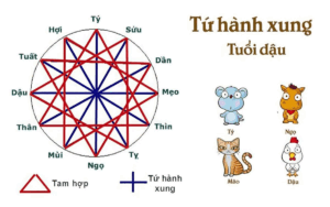 Tứ hành xung là gì? Giải mã nhóm con giáp xung khắc theo phong thủy và cách hóa giải hiệu quả